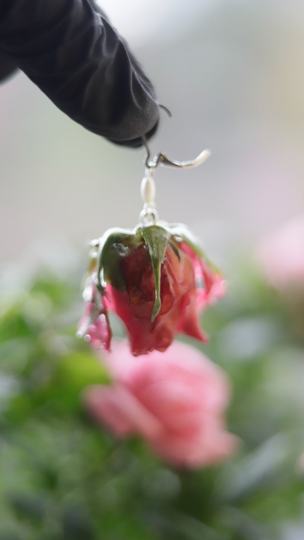 Real Rose Buds | Lever Back | Natural Elegance