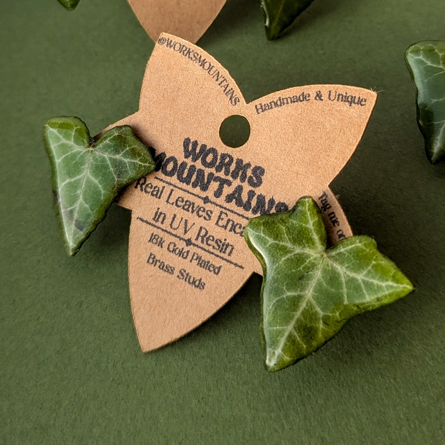 Natural Elegance | Real Ivy Leaf Studs | Medium