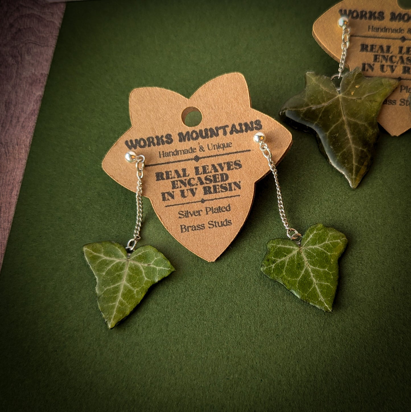 Natural Elegance | Green and Variegated Real Ivy Leaves | Hanging Earrings