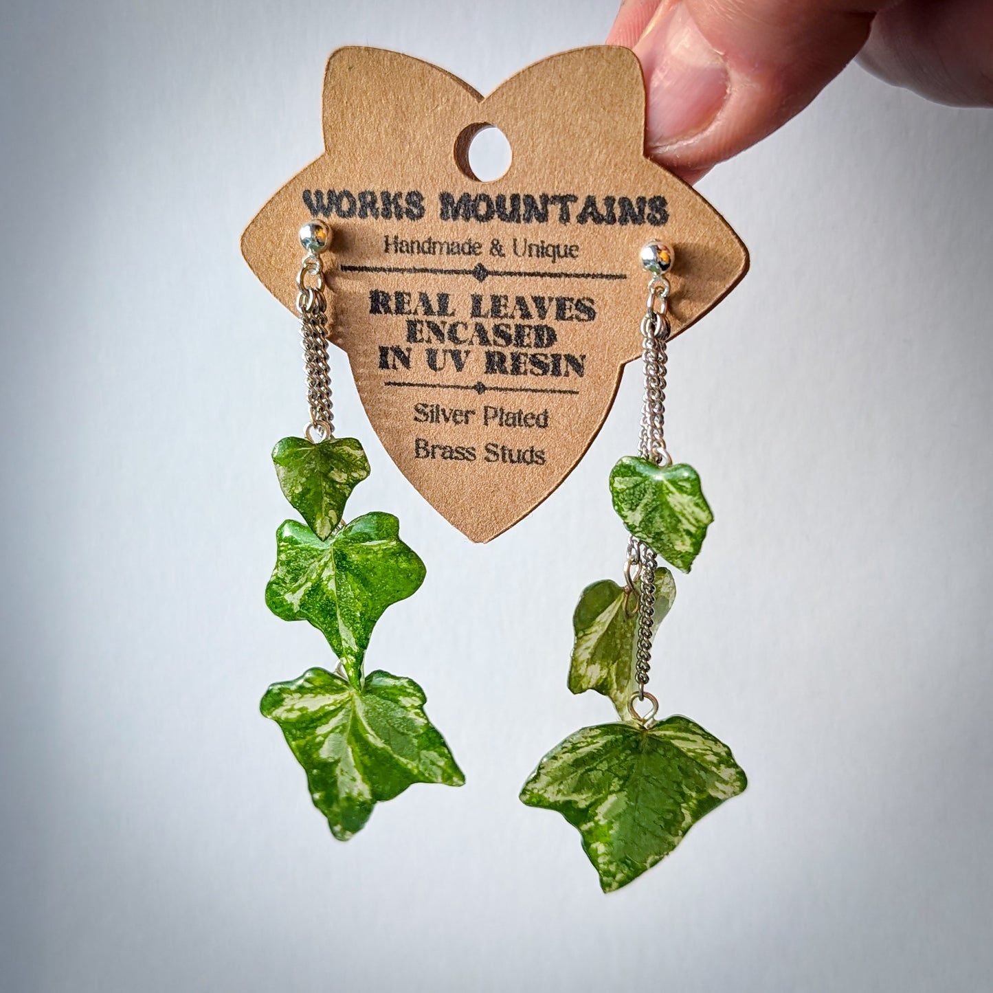 Natural Elegance | Three Real Ivy Leaves | Hanging Earrings