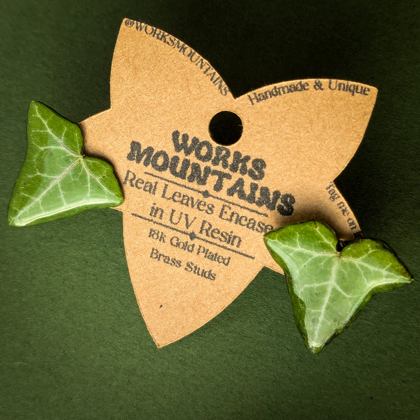 Natural Elegance | Real Ivy Leaf Studs | Medium