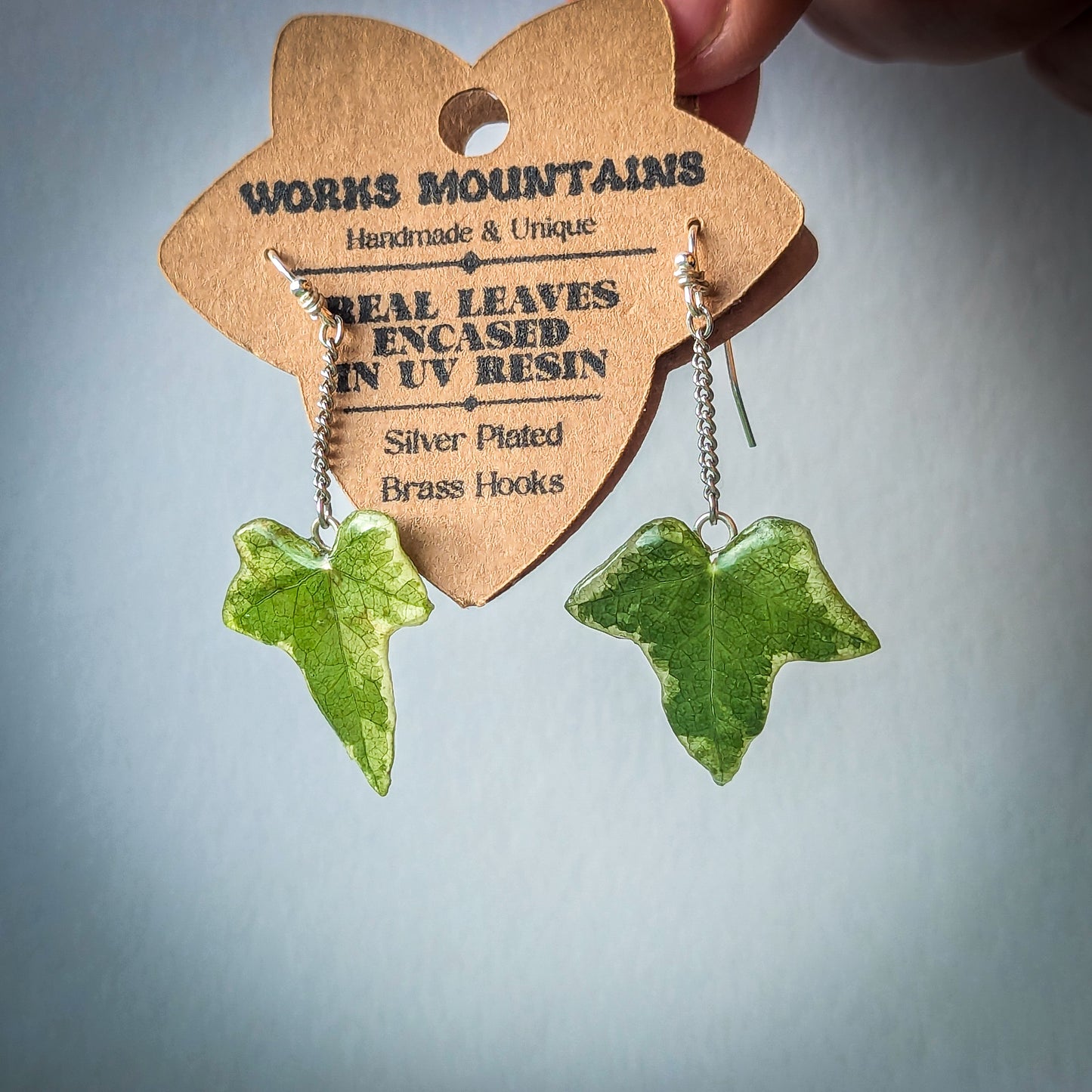 Natural Elegance | Green and Variegated Real Ivy Leaves | Hanging Earrings