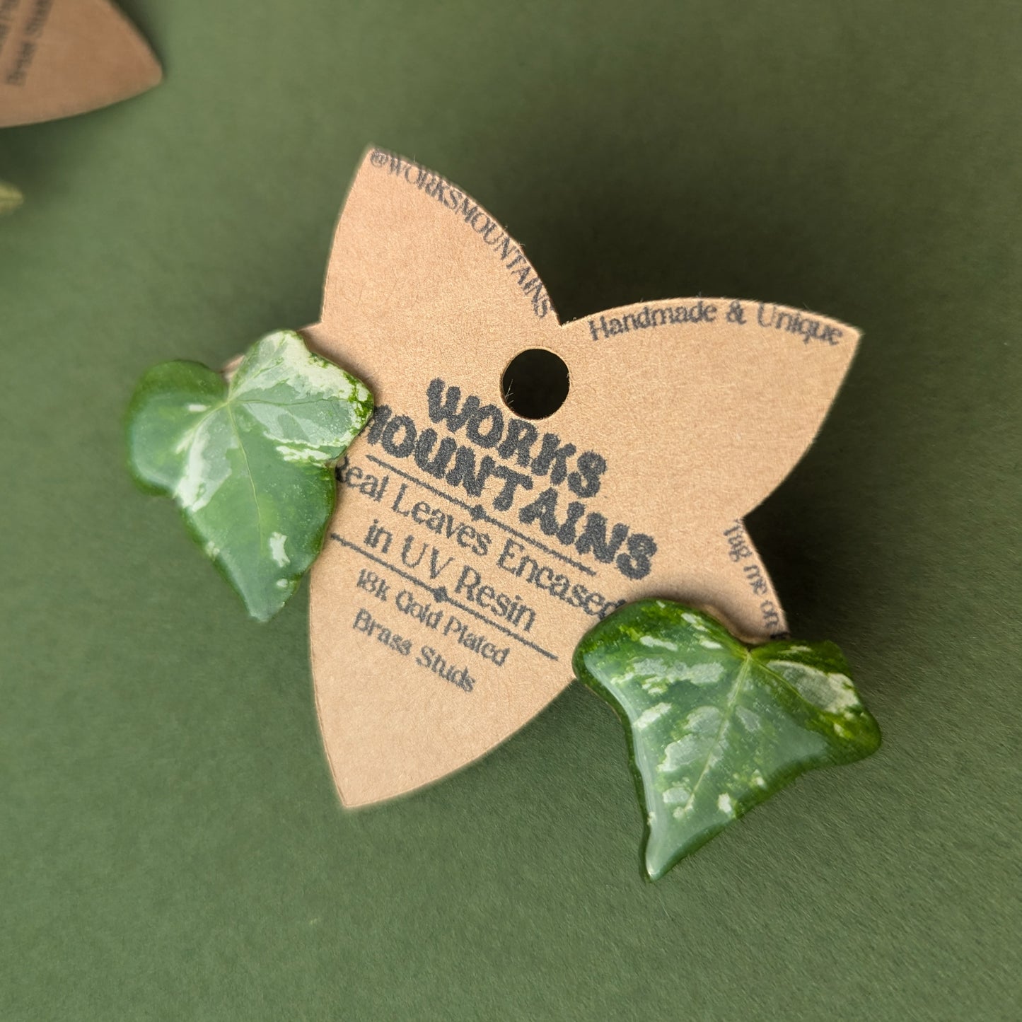 Natural Elegance | Real Variegated Ivy Leaf Studs