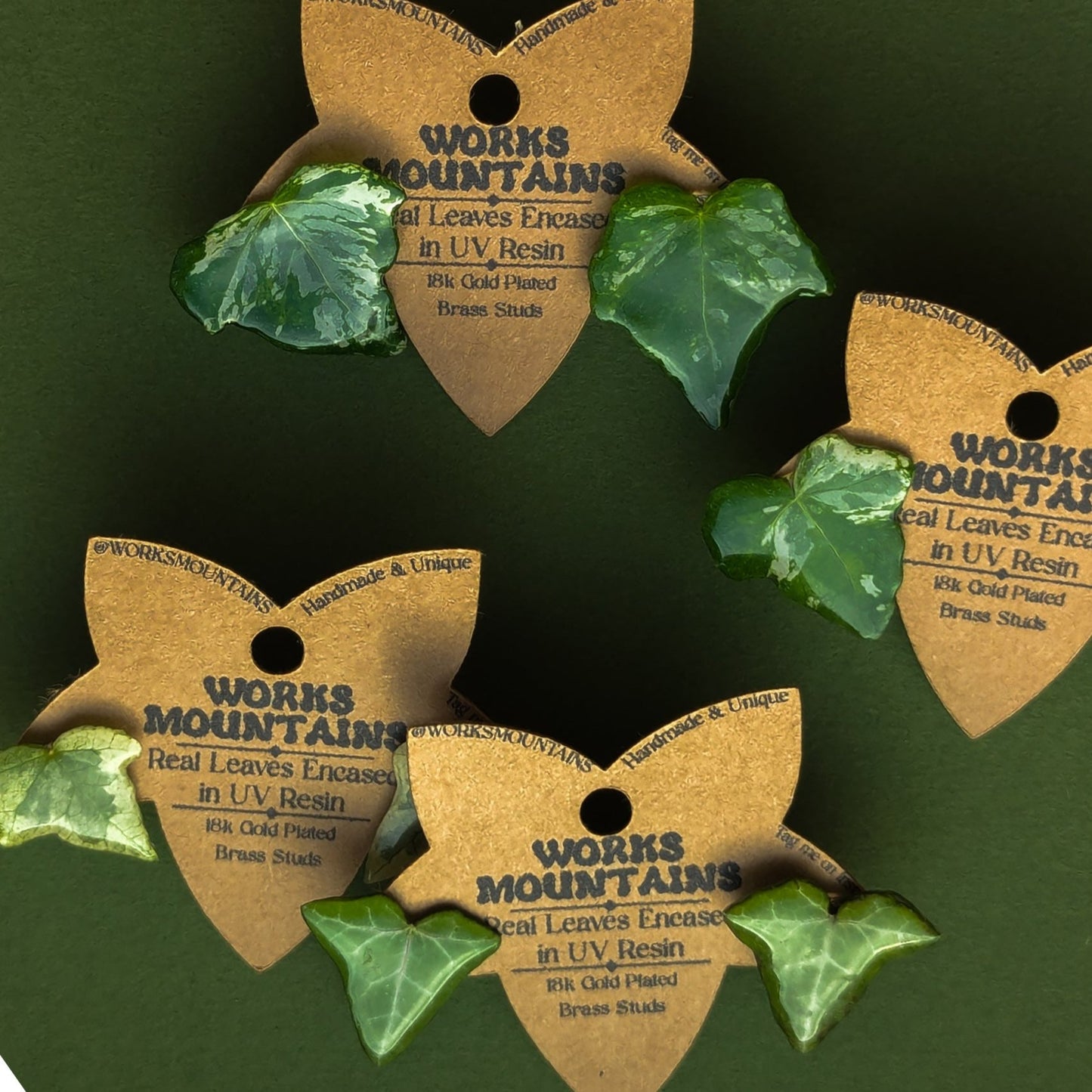 Natural Elegance | Real Variegated Ivy Leaf Studs