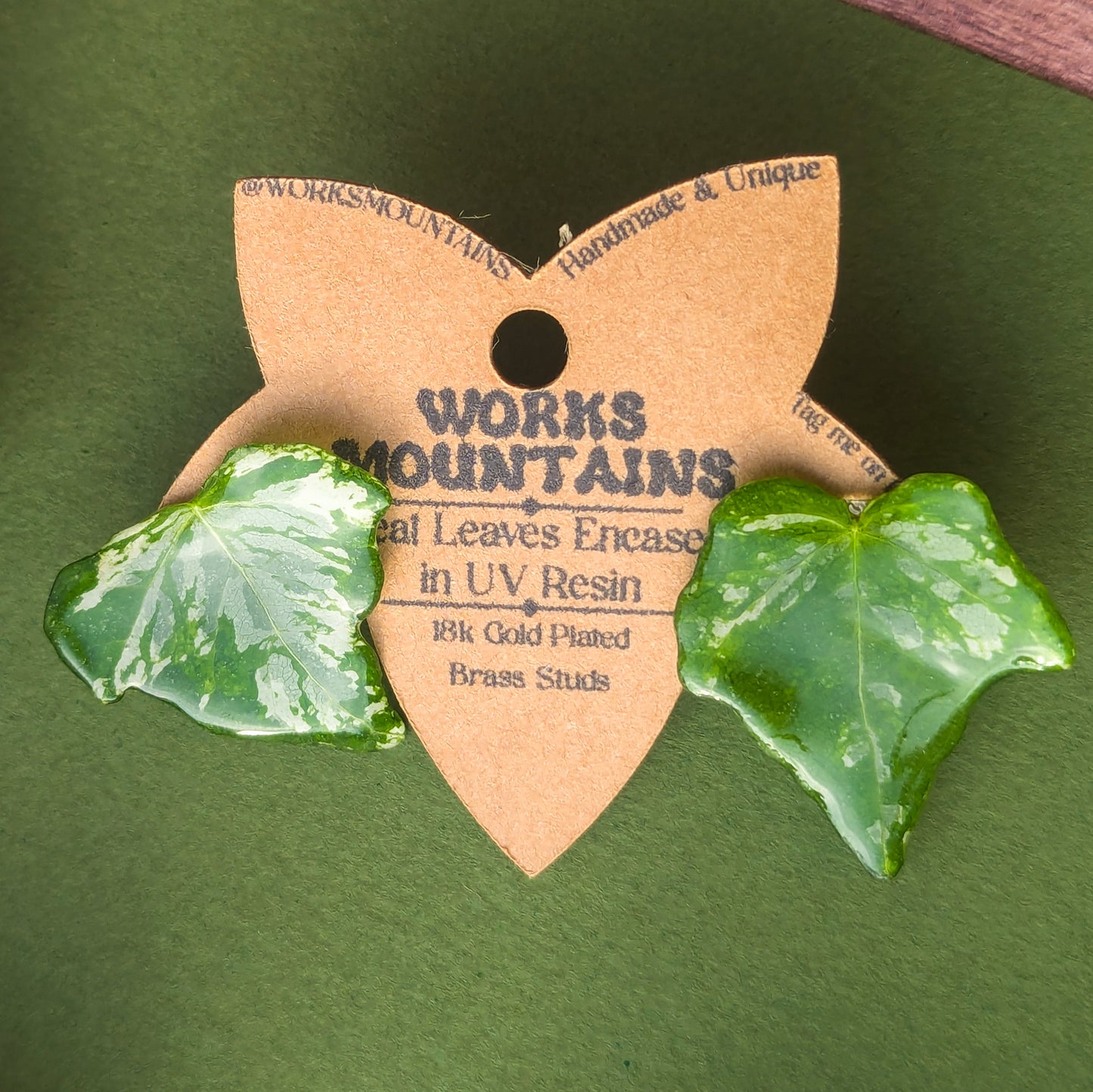 Natural Elegance | Real Variegated Ivy Leaf Studs