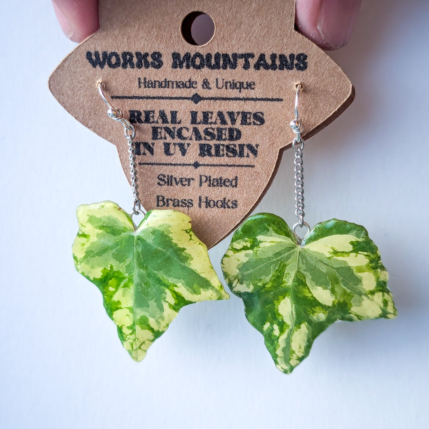 Natural Elegance Collection | Green and Variegated Real Ivy Leaves  |  Hanging Earrings